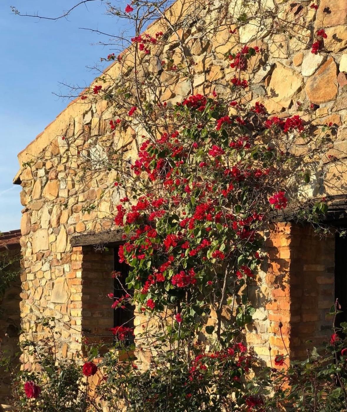 Finca Los Caleros Juan Gallegos Exterior photo