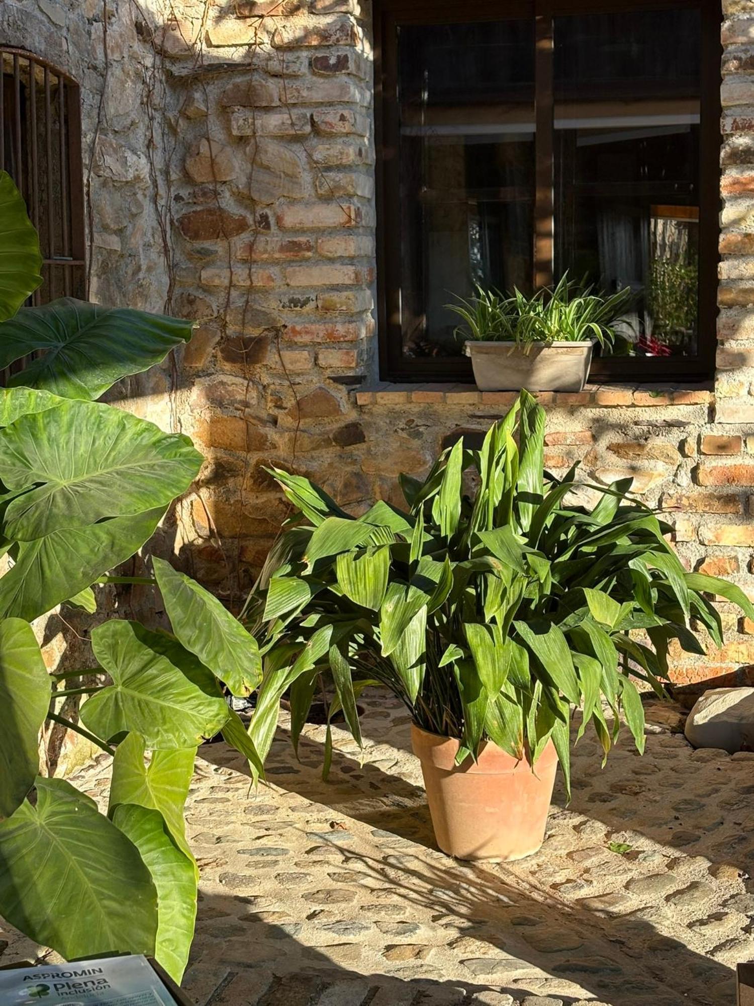 Finca Los Caleros Juan Gallegos Exterior photo
